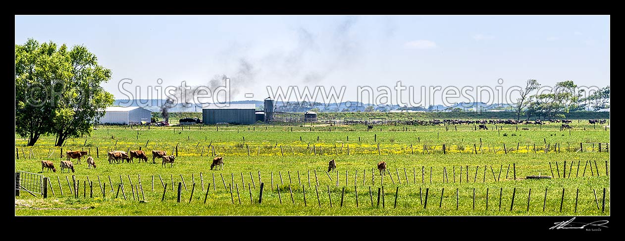 Image of Plastic wrapping from silage storage being burned on a dairy farm creating thick black smoke. A practice used by some farmers to dispose of plastic, instead of recycling. Panorama, Horowhenua District, Manawatu-Wanganui Region, New Zealand (NZ) stock photo image