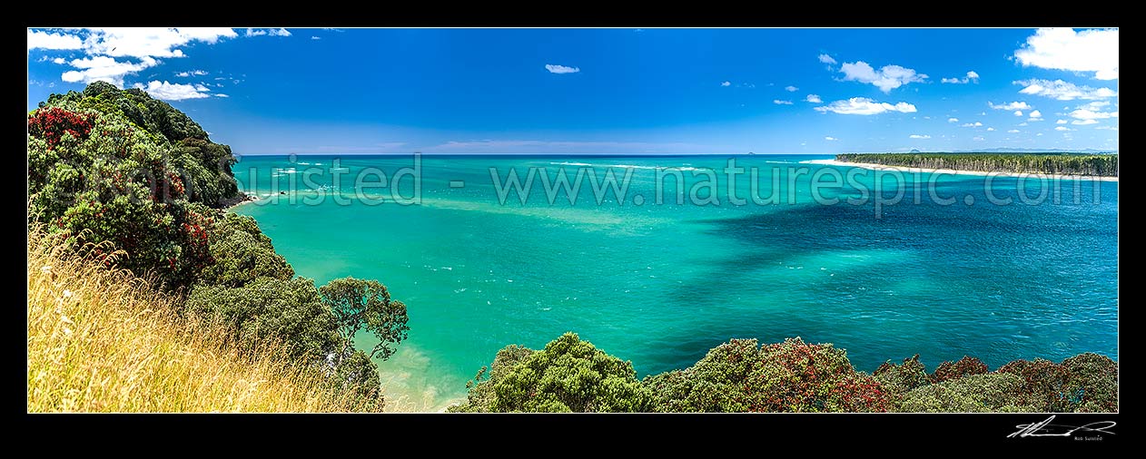 Image of Tauranga Harbour at Katikati entrance from Papatu Point Pa site and Bowentown Heads. Matakana Island right. Flowering pohutukawa tree forest (Metrosideros excelsa). Panorama, Bowentown, Waihi Beach, Western Bay of Plenty District, Bay of Plenty Region, New Zealand (NZ) stock photo image