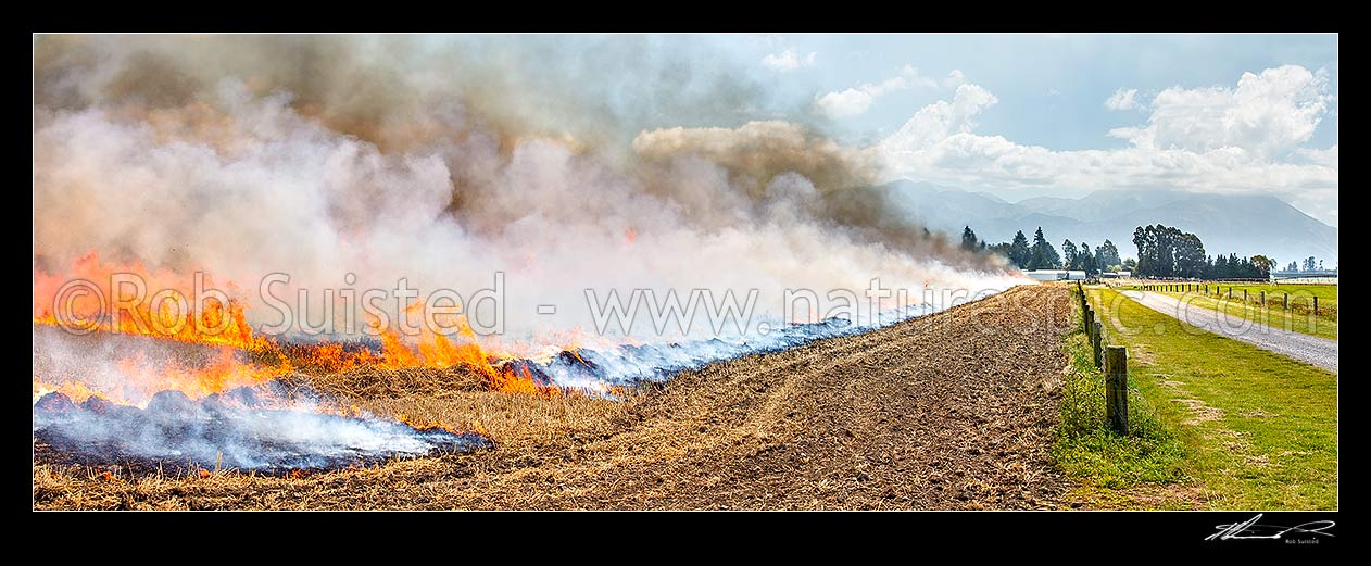 Image of Wheat stubble burning off fire being lit post harvest by farmers to clear paddock for next crop rotation. Panorama, Methven, Ashburton District, Canterbury Region, New Zealand (NZ) stock photo image