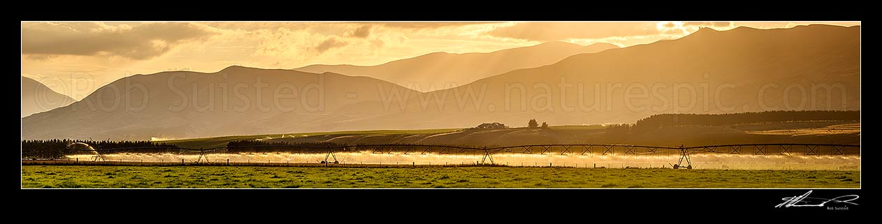 Image of Pivot Irrigator irrigating in the MacKenzie Basin high country at sunset. Panorama, Omarama, MacKenzie District, Canterbury Region, New Zealand (NZ) stock photo image