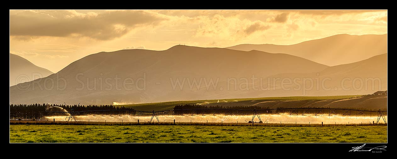 Image of Pivot Irrigator irrigating in the MacKenzie Basin high country at sunset. Panorama, Omarama, MacKenzie District, Canterbury Region, New Zealand (NZ) stock photo image