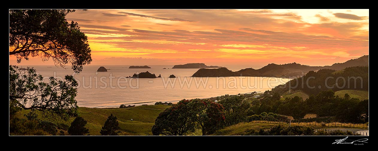 Image of Opito Bay and Beach sunrise panorama. Opito Point, Historic Reserve and Rabbit Island centre, with Ohinau and Ohinauiti Islands behind, Opito Bay, Coromandel Peninsula, Thames-Coromandel District, Waikato Region, New Zealand (NZ) stock photo image