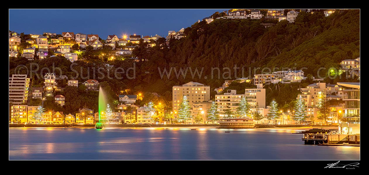 Image of Oriental Bay, Roseneath, fountain and Band Rotunda lit up at dusk. Wellington panorama, Wellington, Wellington City District, Wellington Region, New Zealand (NZ) stock photo image