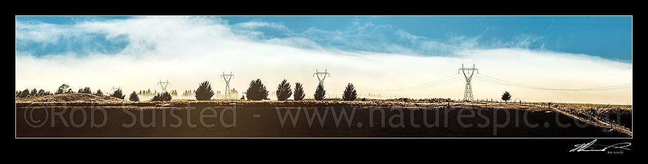 Image of MacKenzie Basin moody dawn mist shrouding electricity power pylons and wilding pines. Panorama, Tekapo, MacKenzie District, Canterbury Region, New Zealand (NZ) stock photo image