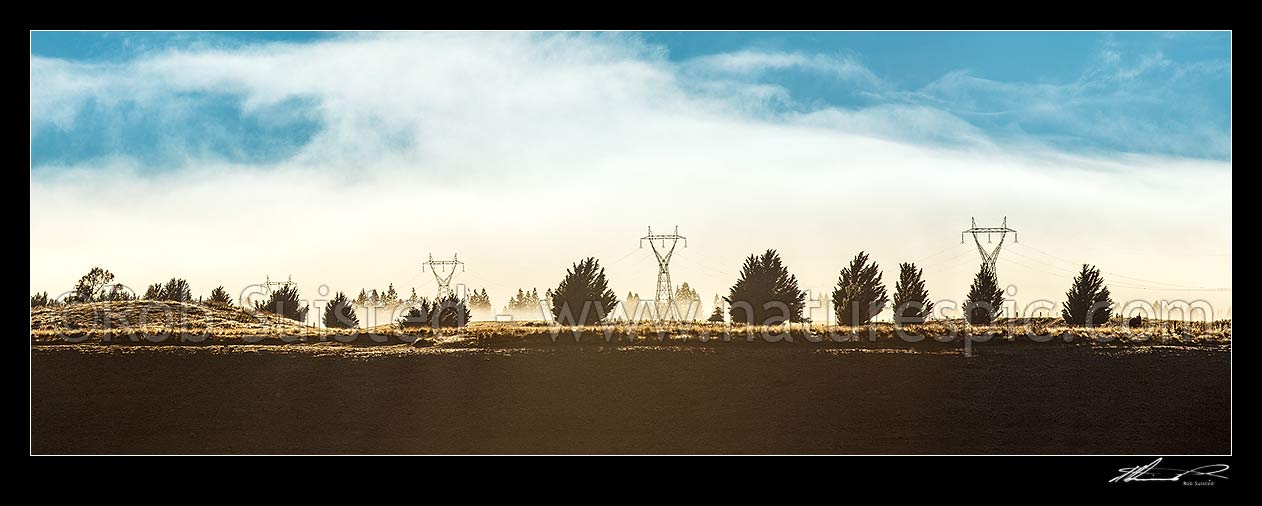 Image of MacKenzie Basin moody dawn mist shrouding electricity power pylons and wilding pines. Panorama, Tekapo, MacKenzie District, Canterbury Region, New Zealand (NZ) stock photo image