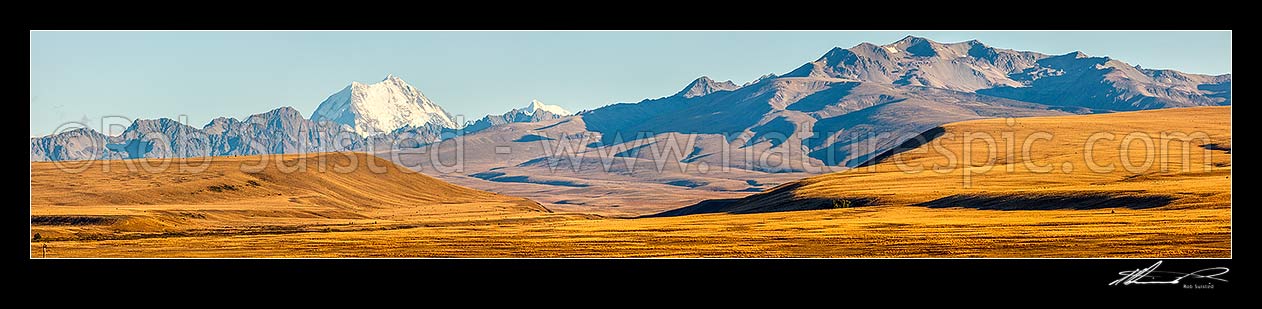 Image of MacKenzie Basin barren high country farmland, looking towards the Braemar Conservation Area, Burnett Mountains and Aoraki Mt Cook (3754m) towering above. Panorama, Tekapo, MacKenzie District, Canterbury Region, New Zealand (NZ) stock photo image