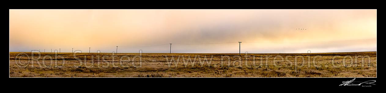 Image of MacKenzie Basin barren high country farmland traversed by powerlines and powerpoles on a moody dawn. Panorama. Abstract, Tekapo, MacKenzie District, Canterbury Region, New Zealand (NZ) stock photo image