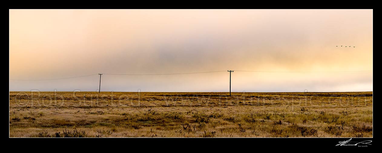 Image of MacKenzie Basin barren high country farmland traversed by powerlines and powerpoles on a moody dawn. Panorama. Abstract, Tekapo, MacKenzie District, Canterbury Region, New Zealand (NZ) stock photo image