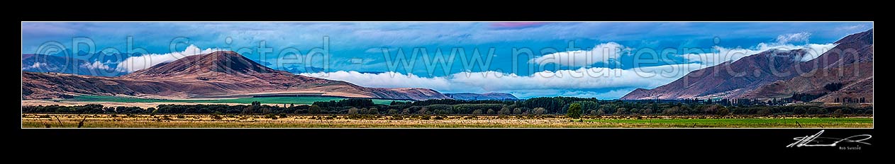 Image of Waitaki headwaters MacKenzie high country in evening. Looking past Quailburn (left) towards Twizel, from Omarama. Panorama, Omarama, Waitaki District, Canterbury Region, New Zealand (NZ) stock photo image