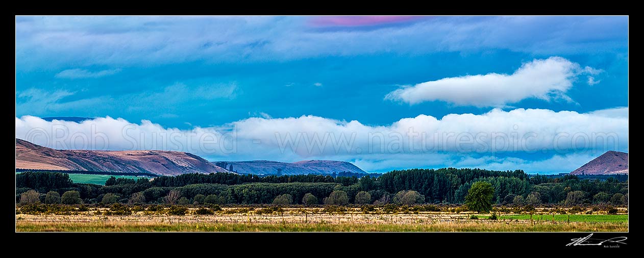 Image of Waitaki headwaters MacKenzie high country in evening over Quailburn. Panorama, Omarama, Waitaki District, Canterbury Region, New Zealand (NZ) stock photo image