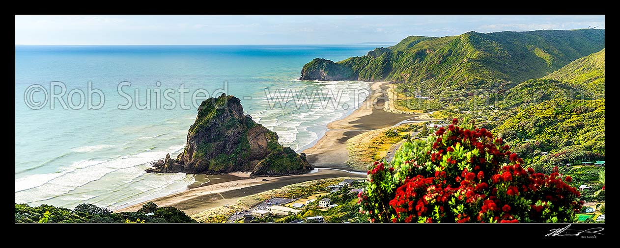 Image of Piha Beach and iconic Lion Rock, with North Piha Beach and Te Waha Point beyond. Auckland West Coast and Waitakere Ranges. Flowering Pohutukawa. Panorama, Piha Beach, Waitakere City District, Auckland Region, New Zealand (NZ) stock photo image