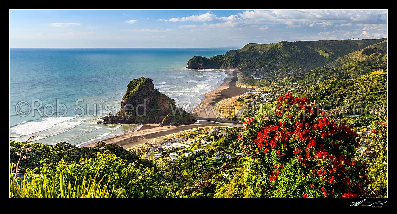 Image of Piha Beach, village, and iconic Lion Rock, with North Piha Beach and Te Waha Point beyond. Auckland West Coast and Waitakere Ranges. Flowering Pohutukawa. Panorama, Piha Beach, Waitakere City District, Auckland Region, New Zealand (NZ) stock photo image