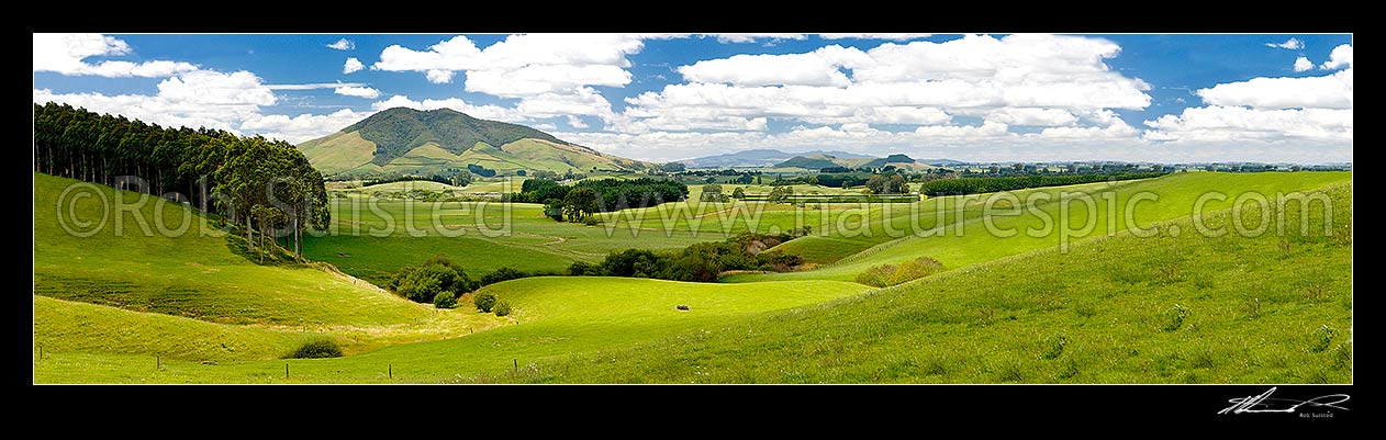 Image of Waikato dairy farmland by the Waipa River, with Mount Kakepuku (left), and Te Kawa (right). Maungatautari beyond. Panorama, Tihiroa, Otorohanga District, Waikato Region, New Zealand (NZ) stock photo image