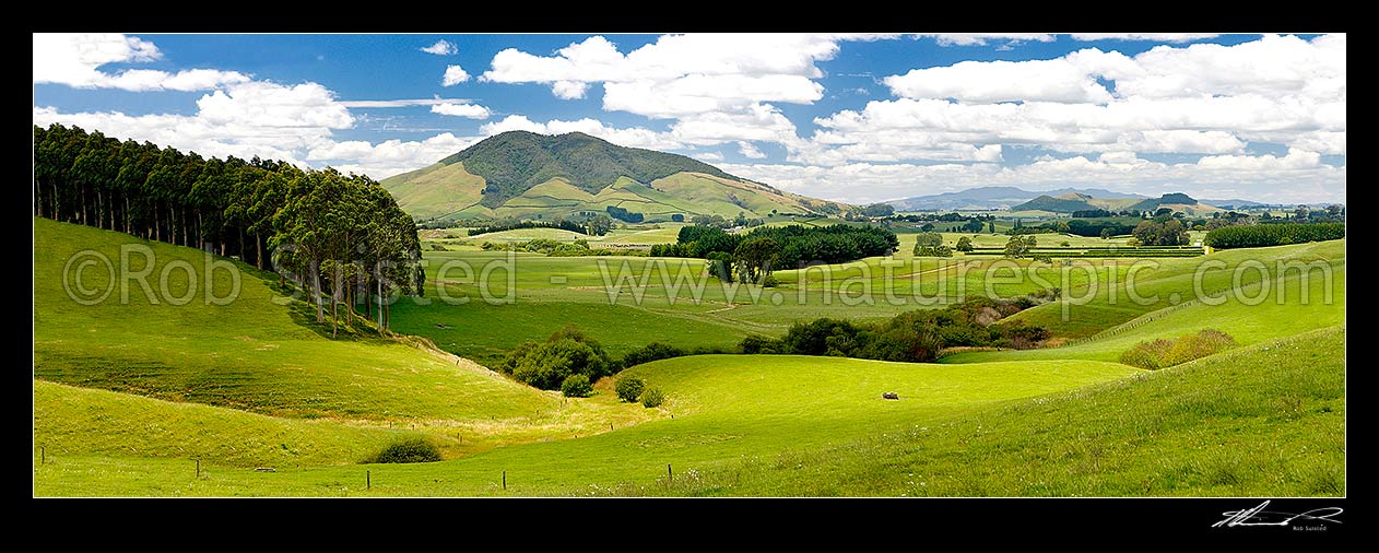 Image of Waikato dairy farmland by the Waipa River, with Mount Kakepuku (left), and Te Kawa (right). Maungatautari beyond. Panorama, Tihiroa, Otorohanga District, Waikato Region, New Zealand (NZ) stock photo image