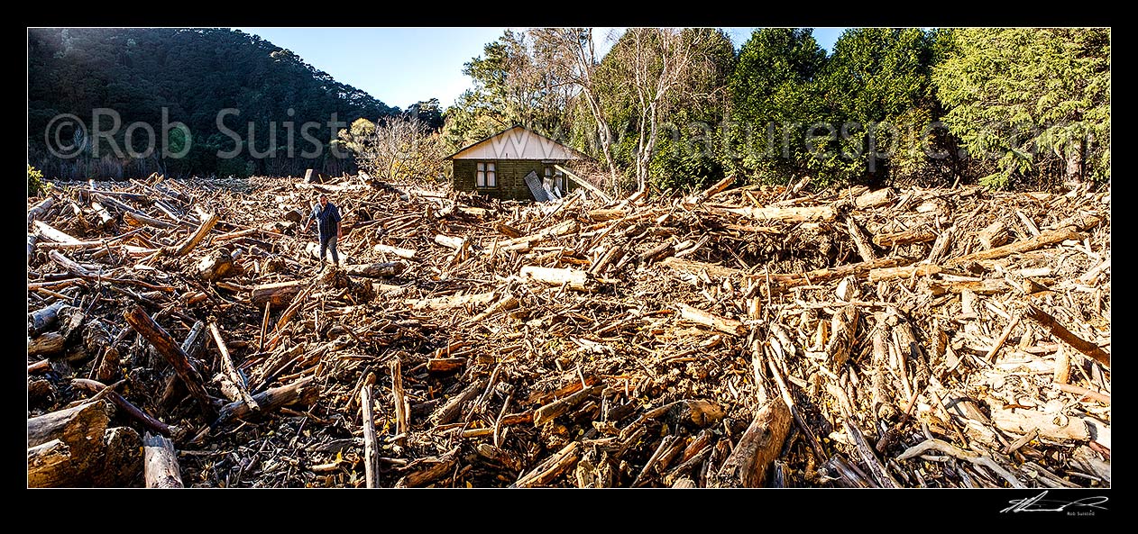 Image of Tolaga Bay floods in June 2018 brought large amounts of forestry timber slash down Mangatokerau River, smashing Amber Kopua's 100 yr old house 30m off piles. Steve Savage surveys his neighbour's loss. Panorama, Tolaga Bay, Gisborne District, Gisborne Region, New Zealand (NZ) stock photo image