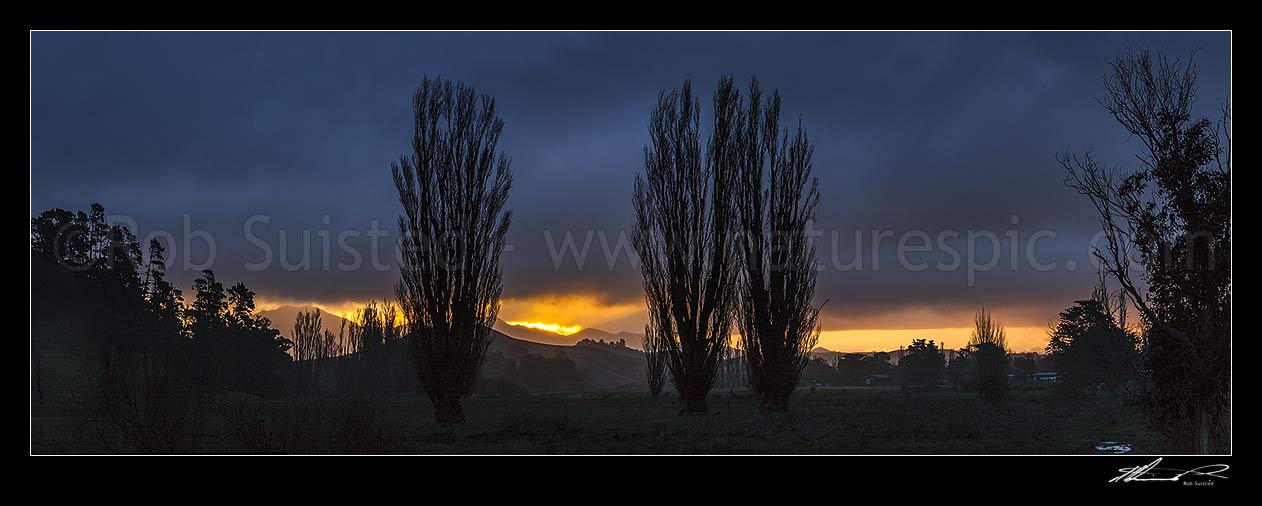 Image of Moody rural sunset at Flaxbourne River, looking towards the Haldon Hills, with tree silhouettes. Panorama, Ward, Marlborough District, Marlborough Region, New Zealand (NZ) stock photo image