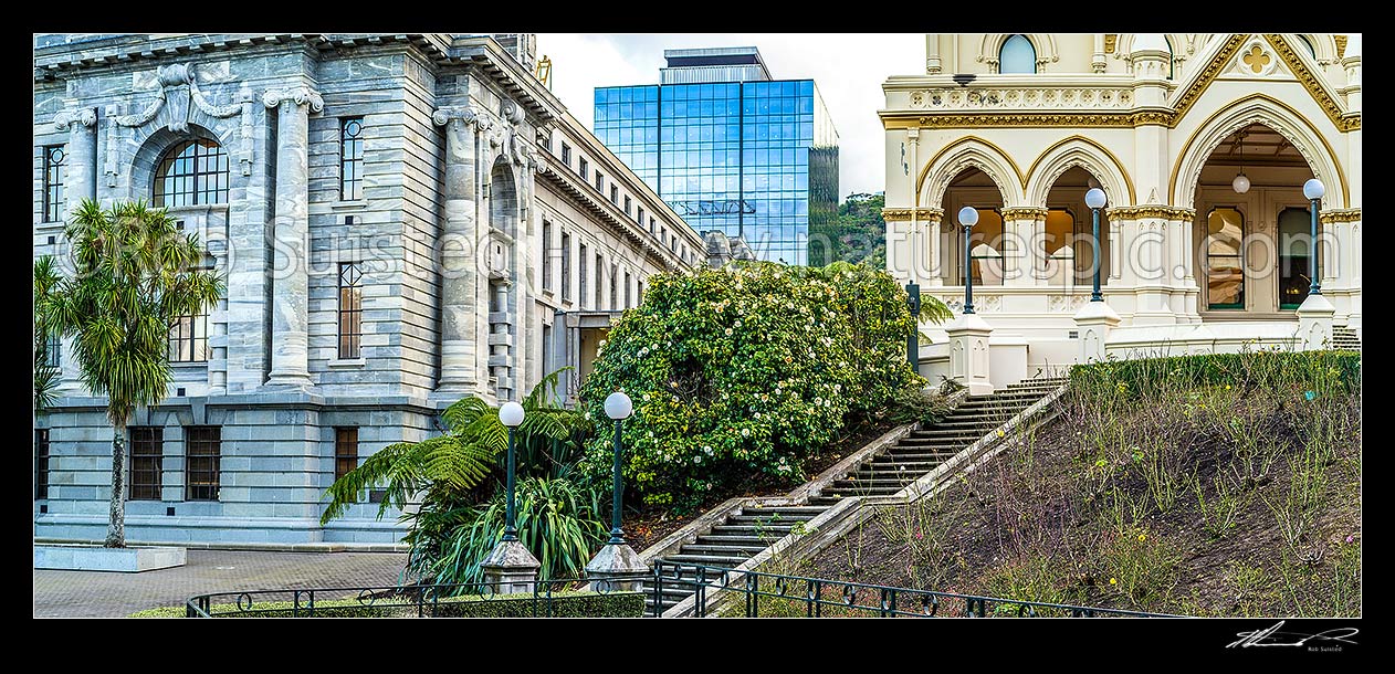 Image of Kate Sheppard special paeony-style white camellia (centre) planted in Parliament grounds in 1993 to celebrate 100 year anniversary of women getting the vote. Panorama, Wellington, Wellington City District, Wellington Region, New Zealand (NZ) stock photo image