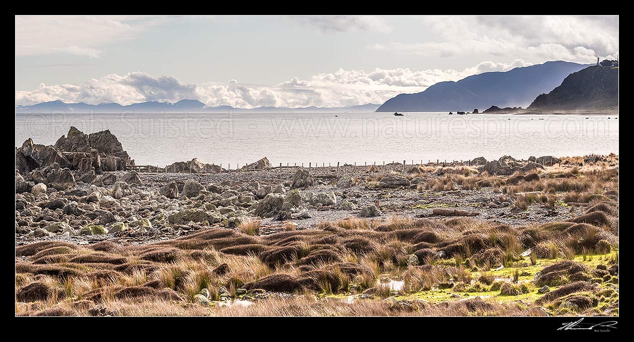 Image of Baring Head (far right) and Sinclair Head (centre right) seen from Turakirae Head Scientific Reserve. Cook Strait and South Island at left. Panorama, Turakirae Head, Hutt City District, Wellington Region, New Zealand (NZ) stock photo image