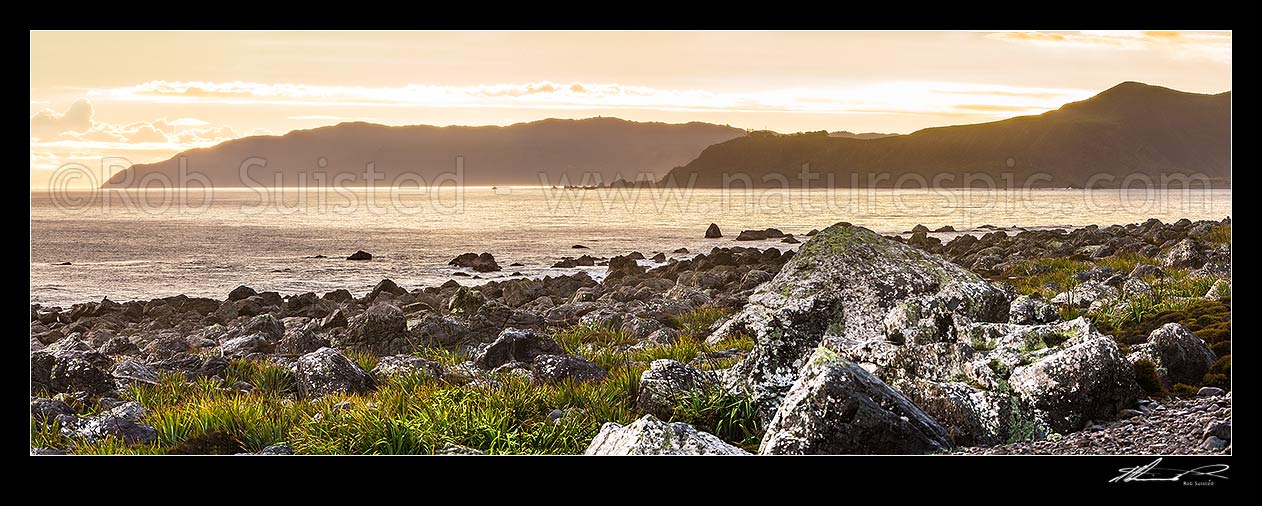 Image of Turakirae Head Scientific Reserve, looking out at evening across towards Cook Strait and Sinclair Head (left), and Baring Head (centre). Panorama, Turakirae Head, Hutt City District, Wellington Region, New Zealand (NZ) stock photo image