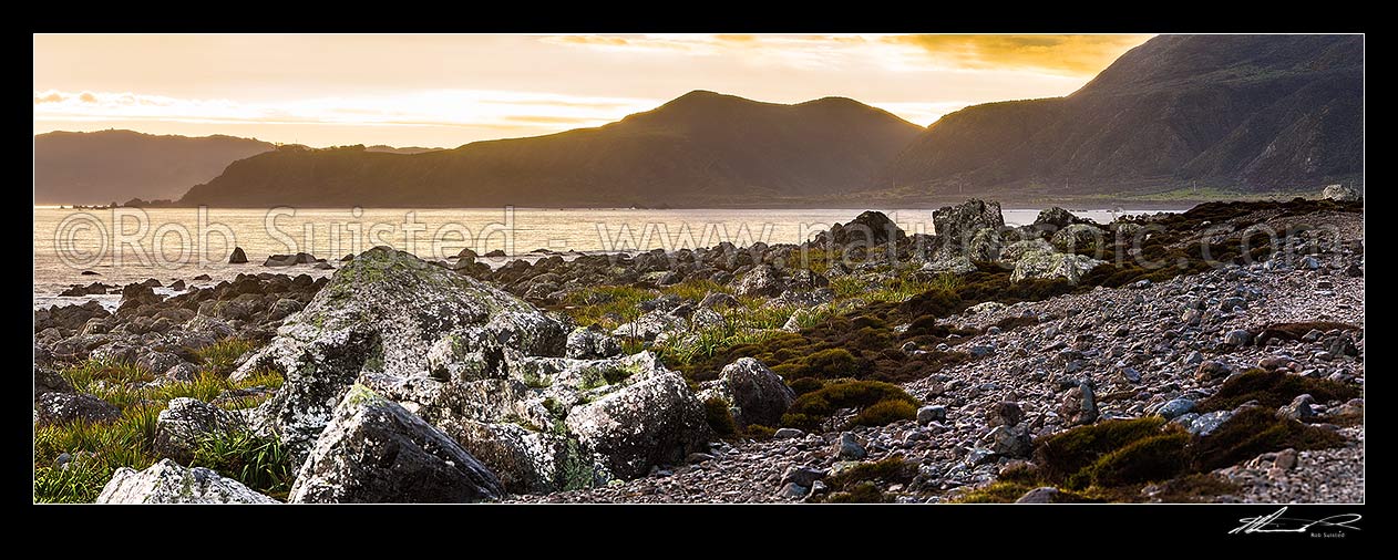 Image of Turakirae Head Scientific Reserve. Baring Head (far left), East Harbour Regional Park and Wainuiomata River Valley behind. Panorama, Turakirae Head, Hutt City District, Wellington Region, New Zealand (NZ) stock photo image