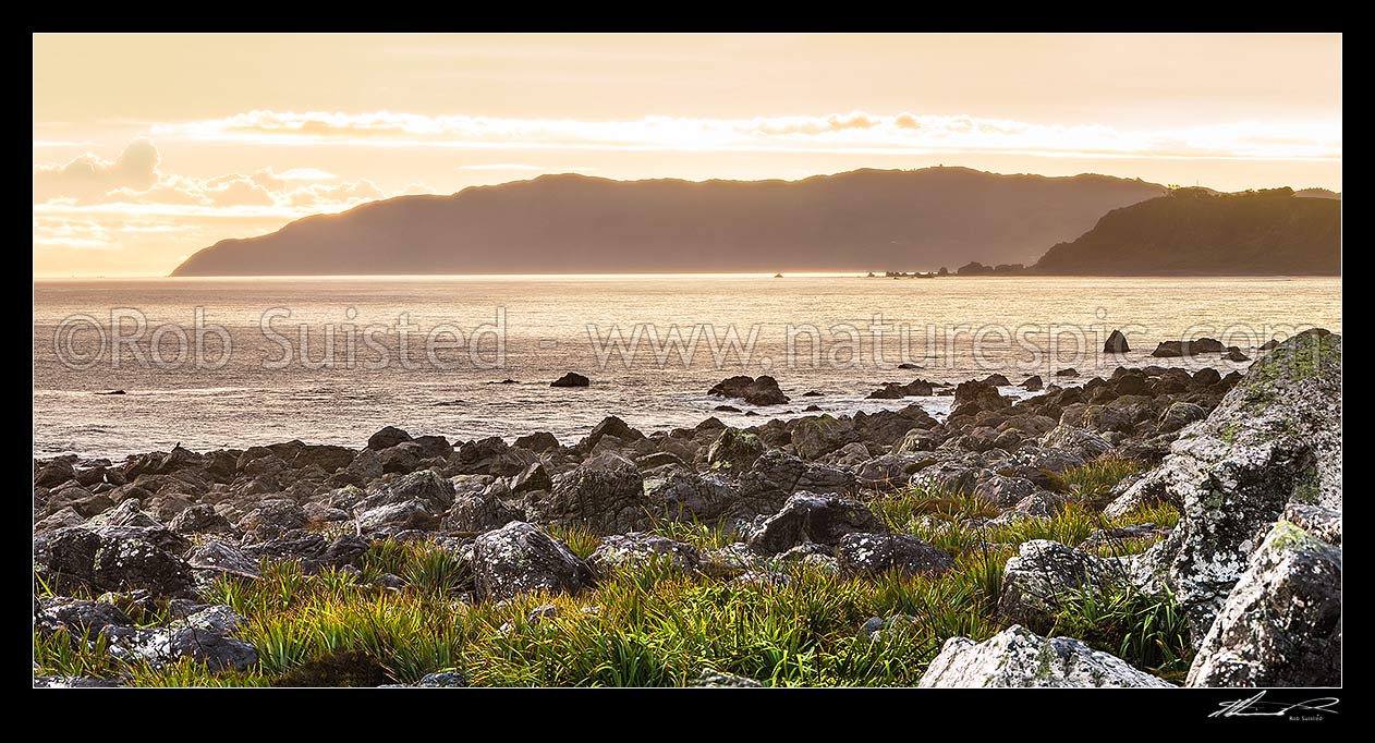 Image of Turakirae Head Scientific Reserve. Sinclair Head (left) and Baring Head (right) behind, with Wellington Harbour entrance between the two. Panorama, Turakirae Head, Hutt City District, Wellington Region, New Zealand (NZ) stock photo image