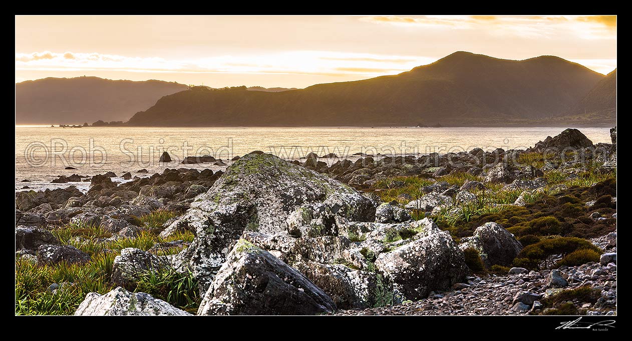 Image of Turakirae Head Scientific Reserve. Baring Head (far left), East Harbour Regional Park and Wainuiomata River Valley behind. Panorama, Turakirae Head, Hutt City District, Wellington Region, New Zealand (NZ) stock photo image