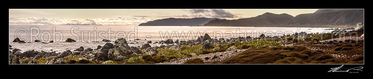 Image of Turakirae Head Scientific Reserve, looking out towards Cook Strait and South Island (left), with Sinclair Head (centre), and Baring Head (centre right). Evening panorama, Turakirae Head, Hutt City District, Wellington Region, New Zealand (NZ) stock photo image