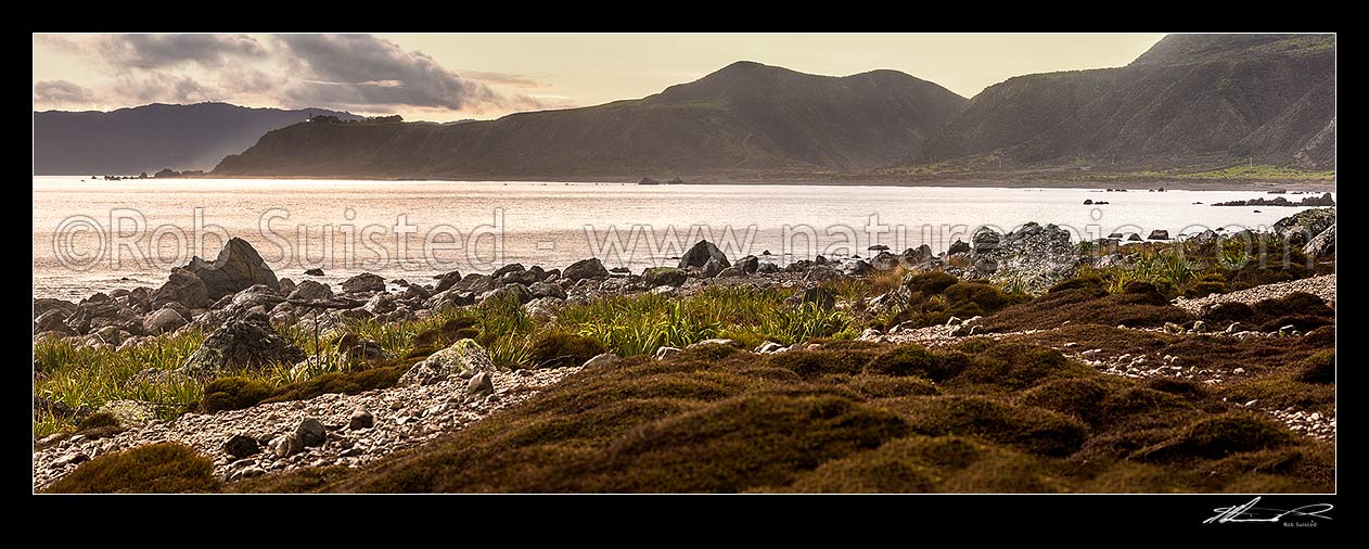 Image of Turakirae Head Scientific Reserve. Baring Head (far left), East Harbour Regional Park and Wainuiomata River Valley behind. Panorama, Turakirae Head, Hutt City District, Wellington Region, New Zealand (NZ) stock photo image