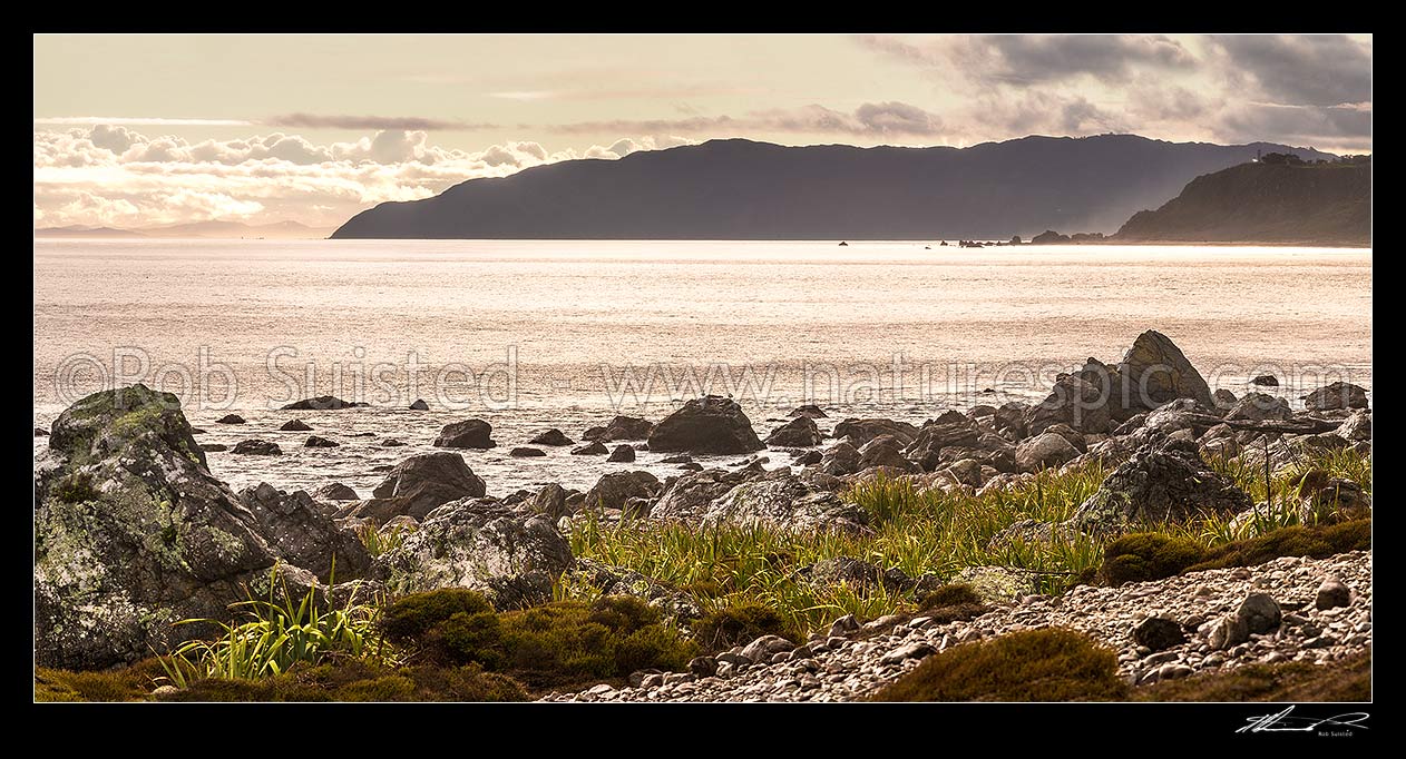 Image of Turakirae Head Scientific Reserve, looking out towards Cook Strait and South Island (left), with Sinclair Head (left), and Baring Head (far right). Evening panorama, Turakirae Head, Hutt City District, Wellington Region, New Zealand (NZ) stock photo image