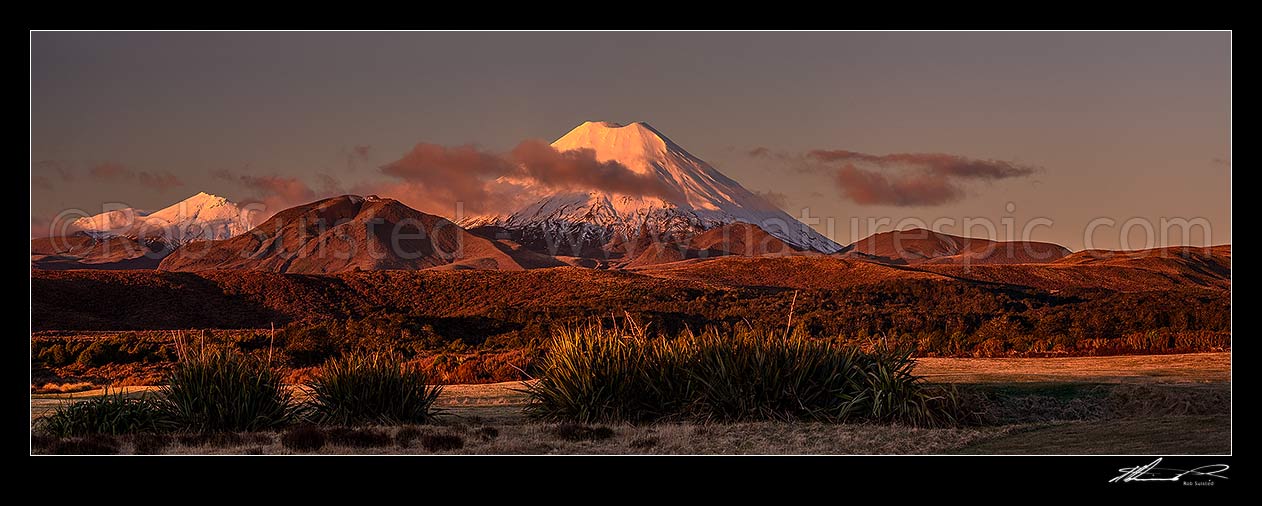 Image of Mt Ngauruhoe (2287m), a volcano in Tongariro National Park, at dusk. Mount Tongariro at left. Panorama view from Whakapapa Village, Tongariro National Park, Ruapehu District, Manawatu-Wanganui Region, New Zealand (NZ) stock photo image