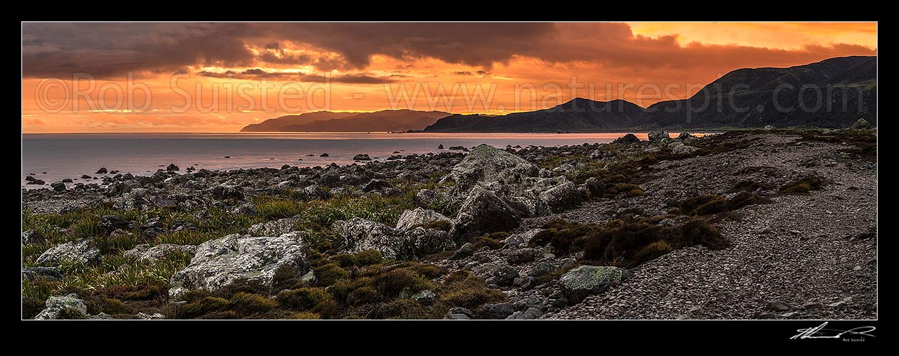 Image of Turakirae Head sunset, looking back towards Wellington at dusk. Baring Head centre, with Sinclair Head beyond. Cook Strait at left. Turakirae Head Scientific Reserve. Panorama, Turakirae Head, Hutt City District, Wellington Region, New Zealand (NZ) stock photo image