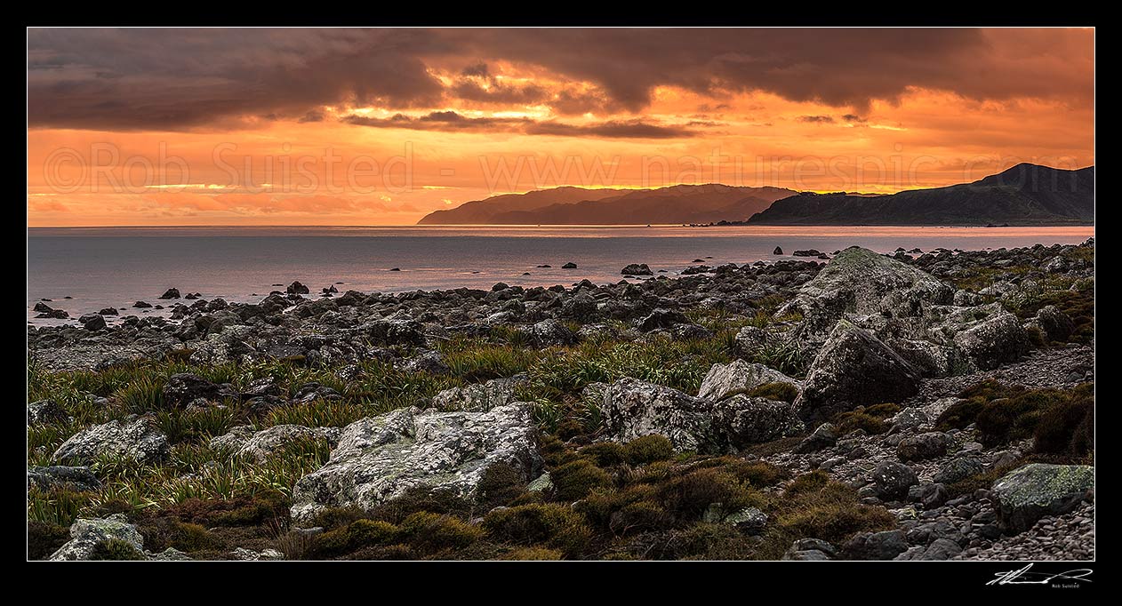 Image of Turakirae Head sunset, looking back towards Wellington at dusk. Baring Head right, with Sinclair Head beyond centre. Cook Strait at left. Turakirae Head Scientific Reserve. Panorama, Turakirae Head, Hutt City District, Wellington Region, New Zealand (NZ) stock photo image