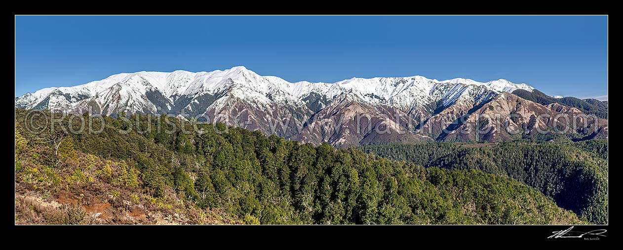 Image of Kaweka Range, Kaweka Forest Park, in winter snow. Mt Kaweka (1724m) highest point. Seen from the east. Panorama, Puketitiri, Hastings District, Hawke's Bay Region, New Zealand (NZ) stock photo image