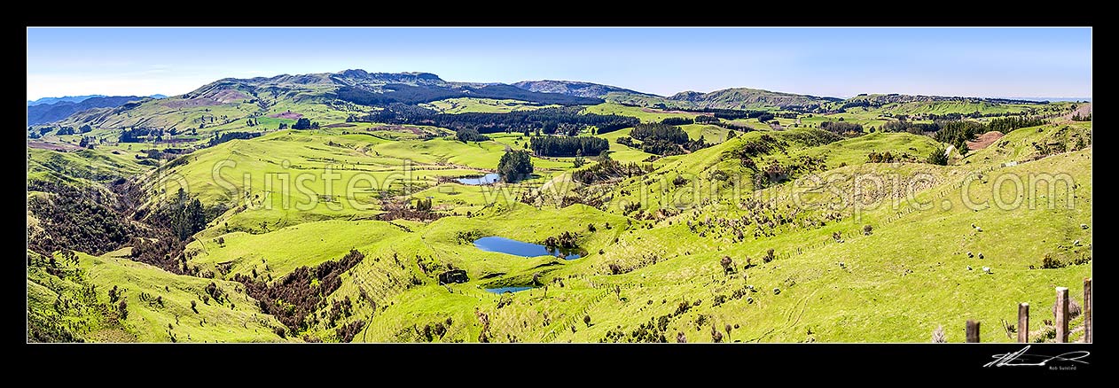 Image of Farmland panorama over hill country near Puketitiri, with lush spring growth. Looking across to Mt Hukanui beyond, Puketitiri, Hastings District, Hawke's Bay Region, New Zealand (NZ) stock photo image