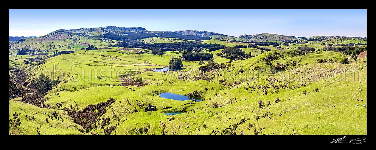 Image of Farmland panorama over hill country near Puketitiri, with lush spring growth. Looking across to Mt Hukanui beyond, Puketitiri, Hastings District, Hawke's Bay Region, New Zealand (NZ) stock photo image