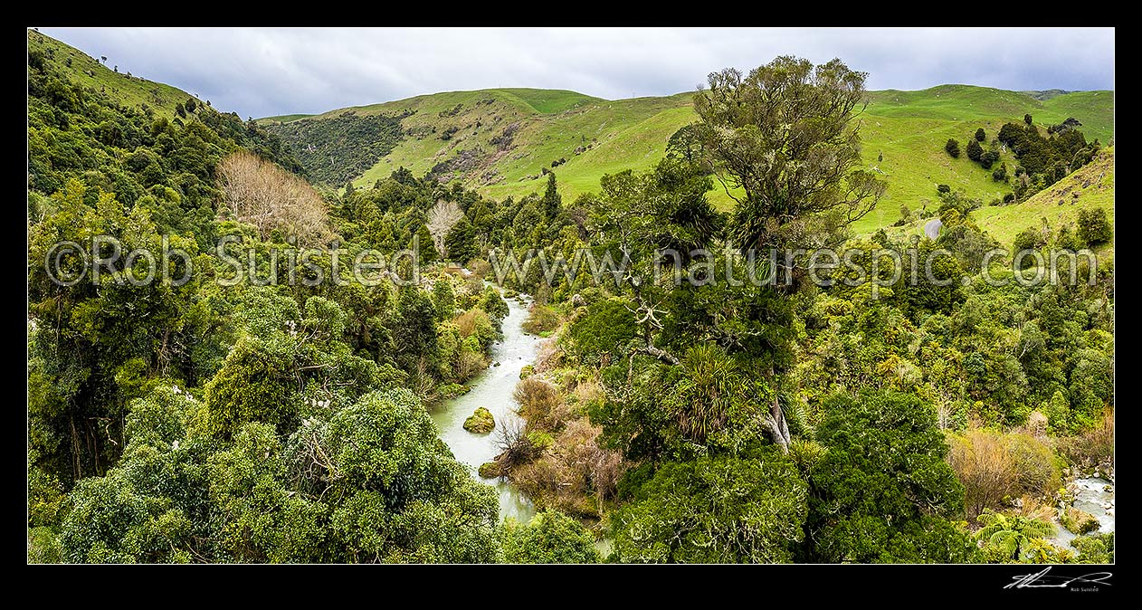 Image of Makuri River in the Makuri Gorge Scenic Reserve, aerial panorama over looking native forest canopy. Northern Wairarapa, Makuri, Tararua District, Manawatu-Wanganui Region, New Zealand (NZ) stock photo image