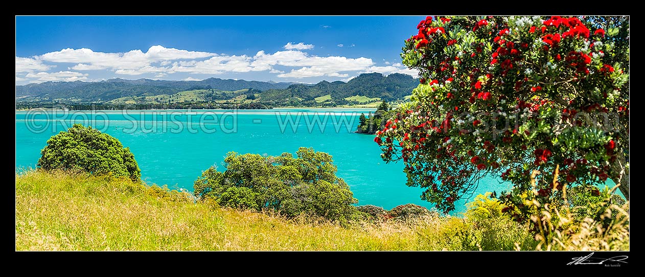 Image of Tauranga Harbour near Katikati, withpohutukawa tree (Metrosideros excelsa) flowering in Anzac Bay, Papatu Point. Kaimai Range behind. panorama, Bowentown, Waihi Beach, Western Bay of Plenty District, Bay of Plenty Region, New Zealand (NZ) stock photo image