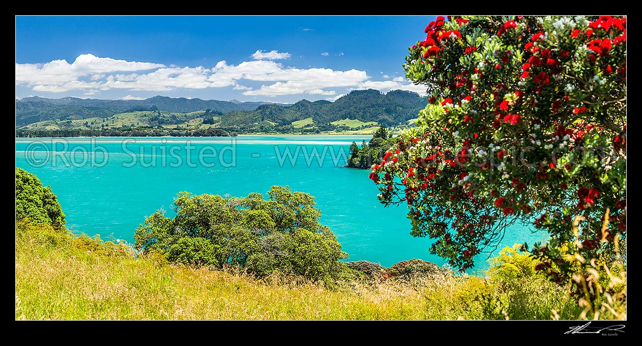 Image of Tauranga Harbour near Katikati, withpohutukawa tree (Metrosideros excelsa) flowering in Anzac Bay, Papatu Point. Kaimai Range behind. panorama, Bowentown, Waihi Beach, Western Bay of Plenty District, Bay of Plenty Region, New Zealand (NZ) stock photo image