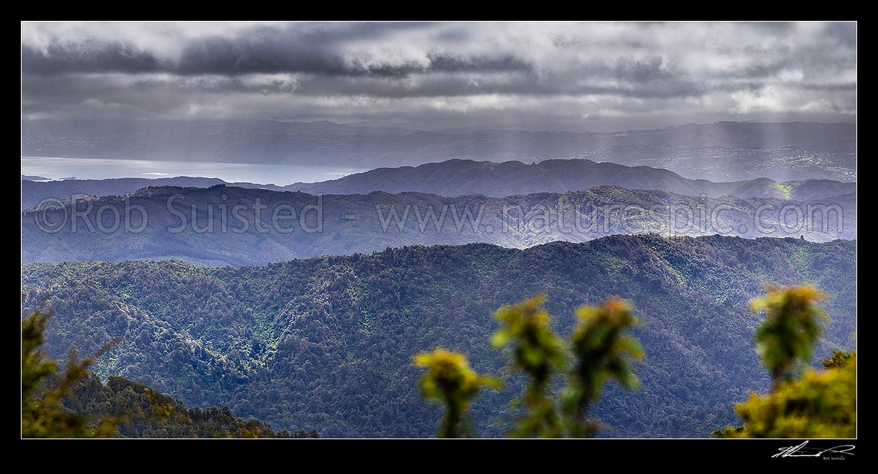 Image of Wellington Harbour seen from above the Wainuiomata Water Collection Area in the Remutaka (Rimutaka) Ranges. Moody panorama as weather breaks. Panorama, Remutaka Range, Wainuiomata, Hutt City District, Wellington Region, New Zealand (NZ) stock photo image