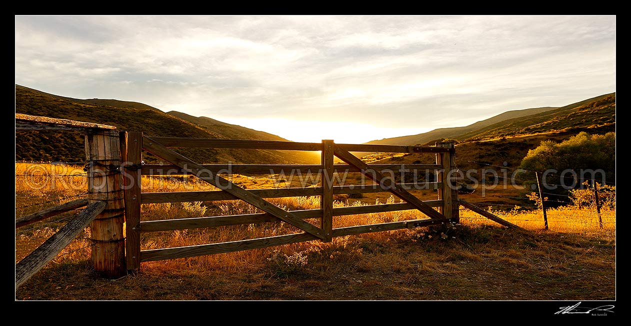 Image of Golden gate, farm gate at sunset in dry Marlborough high country farmland, Molesworth Station, Marlborough District, Marlborough Region, New Zealand (NZ) stock photo image