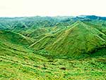 Wanganui hill farmland