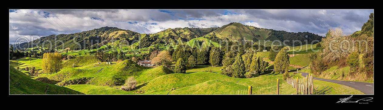 Image of Ruatahuna farmland in the heart of Te Urewera. Panorama, Ruatahuna, Whakatane District, Bay of Plenty Region, New Zealand (NZ) stock photo image