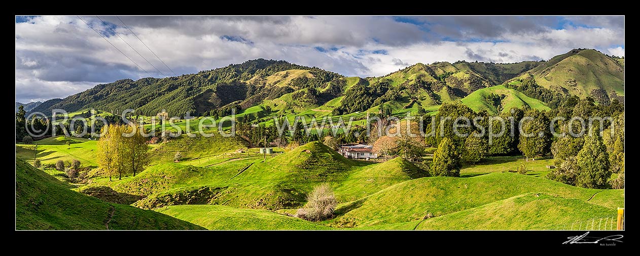 Image of Ruatahuna farmland in the heart of Te Urewera. Panorama, Ruatahuna, Whakatane District, Bay of Plenty Region, New Zealand (NZ) stock photo image