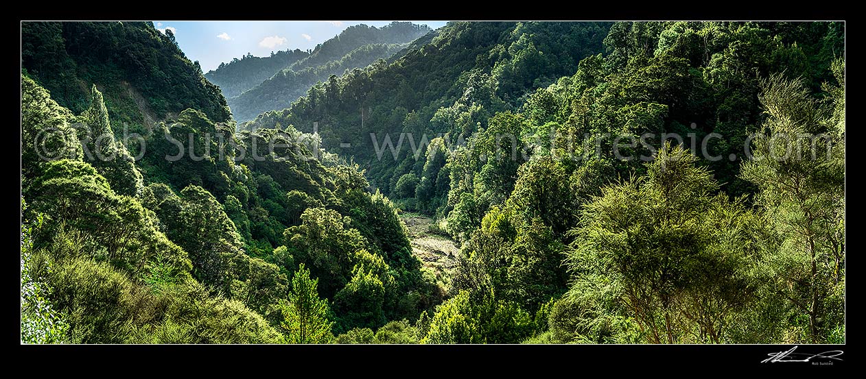 Image of Manawahiwi Stream at Ngaputahi in the Te Urewera forest, near Minginui. Panorama, Minginui, Whakatane District, Bay of Plenty Region, New Zealand (NZ) stock photo image