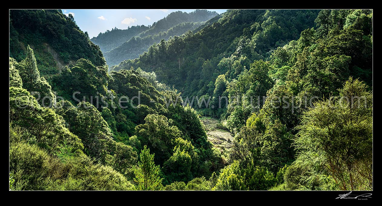 Image of Manawahiwi Stream at Ngaputahi in the Te Urewera forest, near Minginui. Panorama, Minginui, Whakatane District, Bay of Plenty Region, New Zealand (NZ) stock photo image