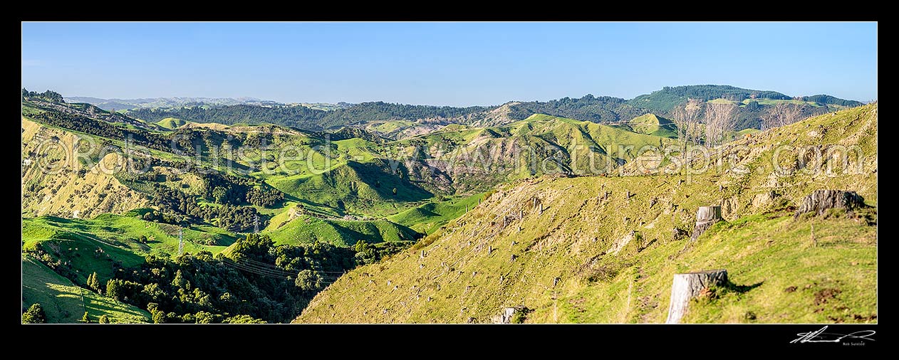 Image of Northern Hawkes Bay hill country farmland of the Mangaone Stream Waiau River area. Panekiri Range beyond. Panorama with old plantation forest tree stumps at right, Mohaka, Wairoa District, Hawke's Bay Region, New Zealand (NZ) stock photo image