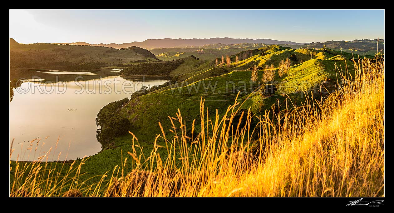 Image of Lake Rotonuiaha, nestled in northern Hawkes Bay farmland. Golden autumn colours and poplar trees at dusk. Panekiri Range and Wairau River trench beyond right. Panorama, Mohaka, Wairoa District, Hawke's Bay Region, New Zealand (NZ) stock photo image