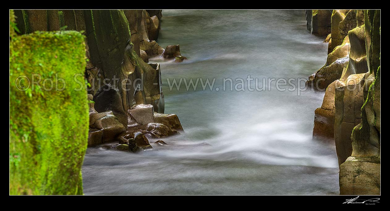 Image of River water rushing through mossy Te Whaiti-Nui-A-Toi Canyon  in Whirinaki Te Pua-a-Tane Conservation Park. Whirinaki Forest Park. A post eruption ignimbrite gorge. Panorama, Minginui, Whakatane District, Bay of Plenty Region, New Zealand (NZ) stock photo image