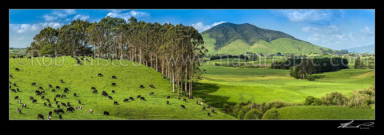 Image of Waikato lush dairy farmland by the Waipa River, with Mount Kakepuku behind. Panorama, Otorohanga, Otorohanga District, Waikato Region, New Zealand (NZ) stock photo image