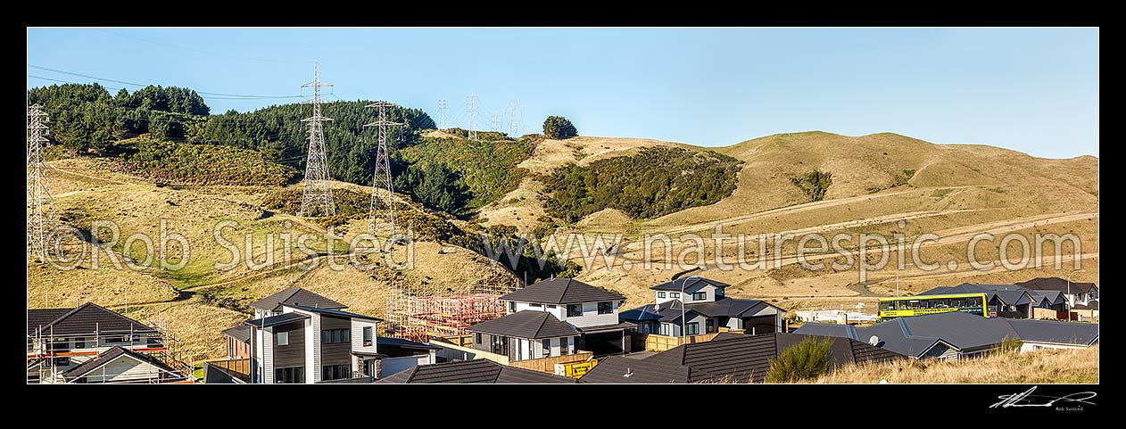 Image of New housing suburb development bordering farmland, with new houses being built. Cattle and power transmission lines behind. Panorama, Wellington City District, Wellington Region, New Zealand (NZ) stock photo image